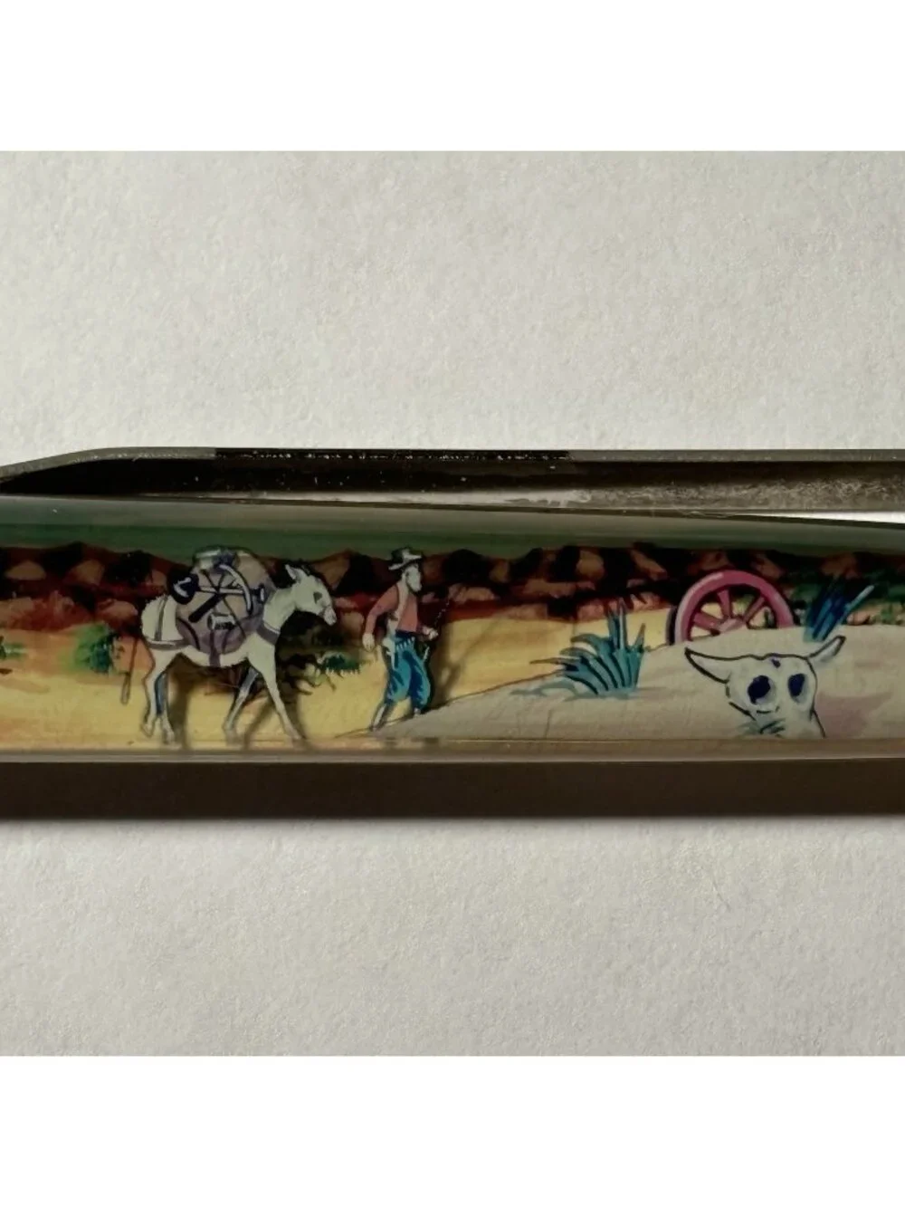 Death Valley California Floaty Pen Frontier Man Pack Horse Mule Moves in Desert